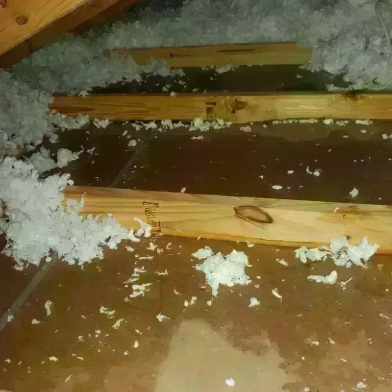 Attic Water Damage in Grand Prairie, TX