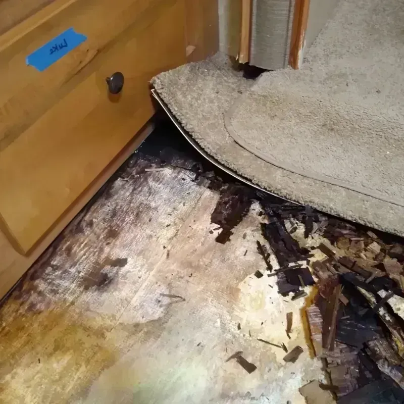 Wood Floor Water Damage in Grand Prairie, TX